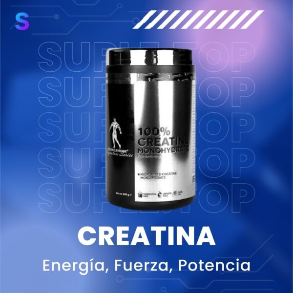 CREATINA KEVIN LEVRONE 500GR